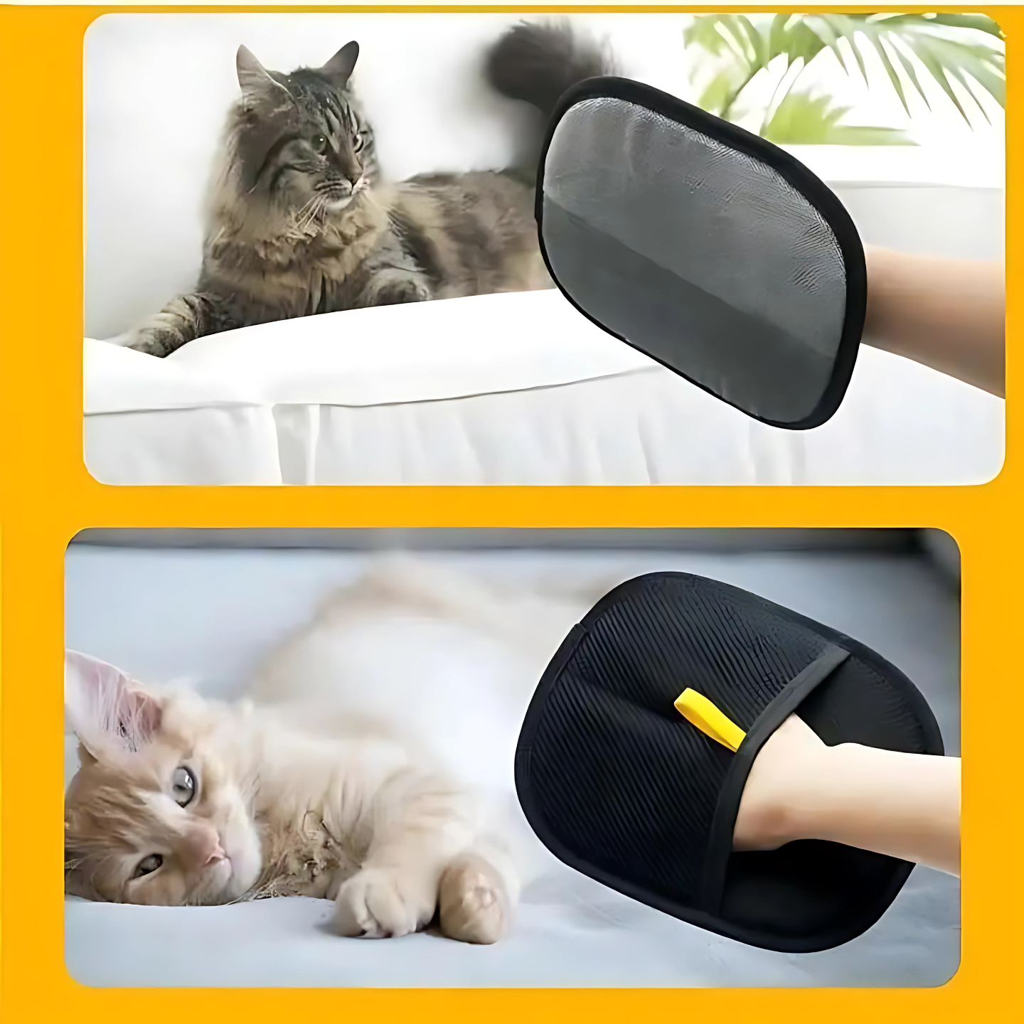PetMelt